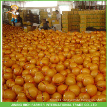 Chinese Grape Fruits Fresh Pomelo For Russia